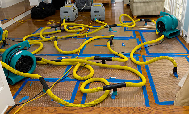 Professional Water Damage Repair technician working in Loudon, NH